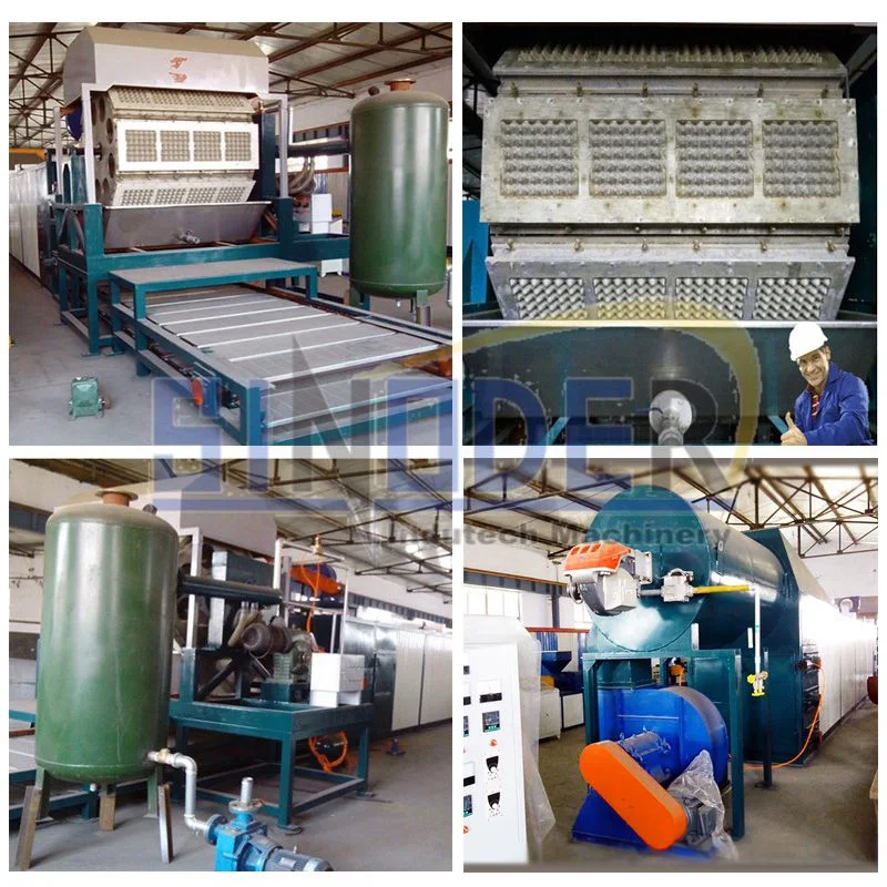 High Efficiency Paper Pulp Molding Machine Egg Tray Forming Plant Fruit Tray Making Equipment