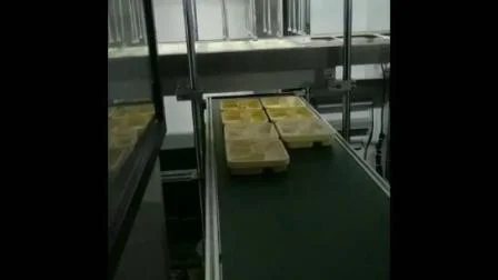 Машинное оборудование для производства контейнеров для пищевых продуктов с крышкой из полистирола, полипропилена, лотка для яиц